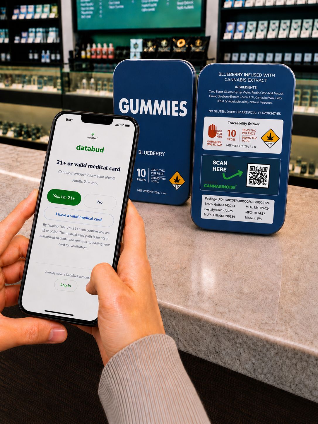 A consumer holding a phone showing the databud 21+ age affirmation screen, in front of a Cannabinoise blueberry-gummy tin on a dispensary counter — the tin's back panel shows the traceability sticker with QR code, batch info, and ingredients.